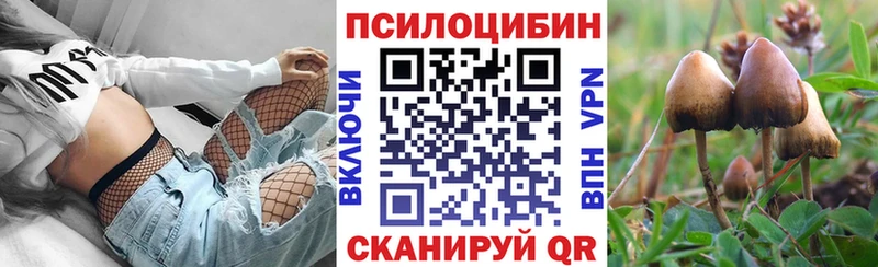 Псилоцибиновые грибы Psilocybe  купить   Ангарск 